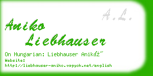 aniko liebhauser business card